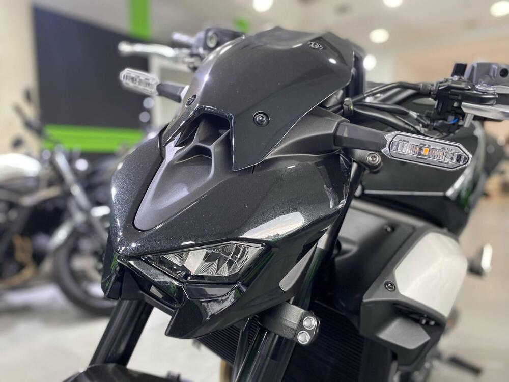Kawasaki Z 900 (2025 - 26) (6)
