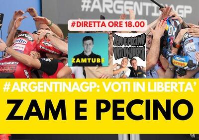 #votiinlibertà zam e pecino