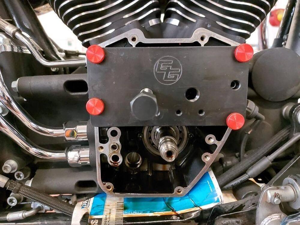 Harley-Davidson 1585 Softail Deluxe (2011) - FLSTN (12)