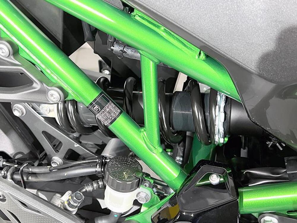 Kawasaki Z 900 (2025 - 26) (4)