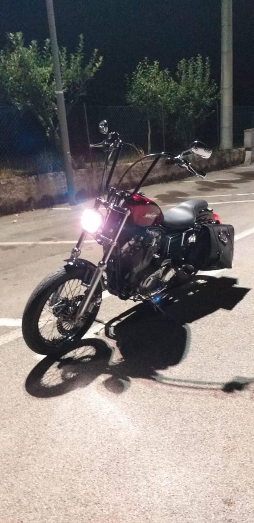 Harley-Davidson 883 Standard (1994 - 00) - XLH (2)