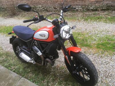 Ducati Scrambler 800 Icon (2017 - 20) usata