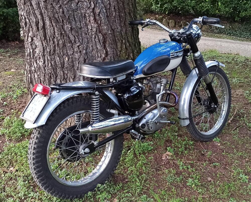 Triumph Tiger Cub 200 (3)