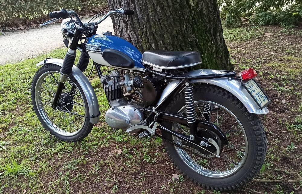 Triumph Tiger Cub 200 (5)