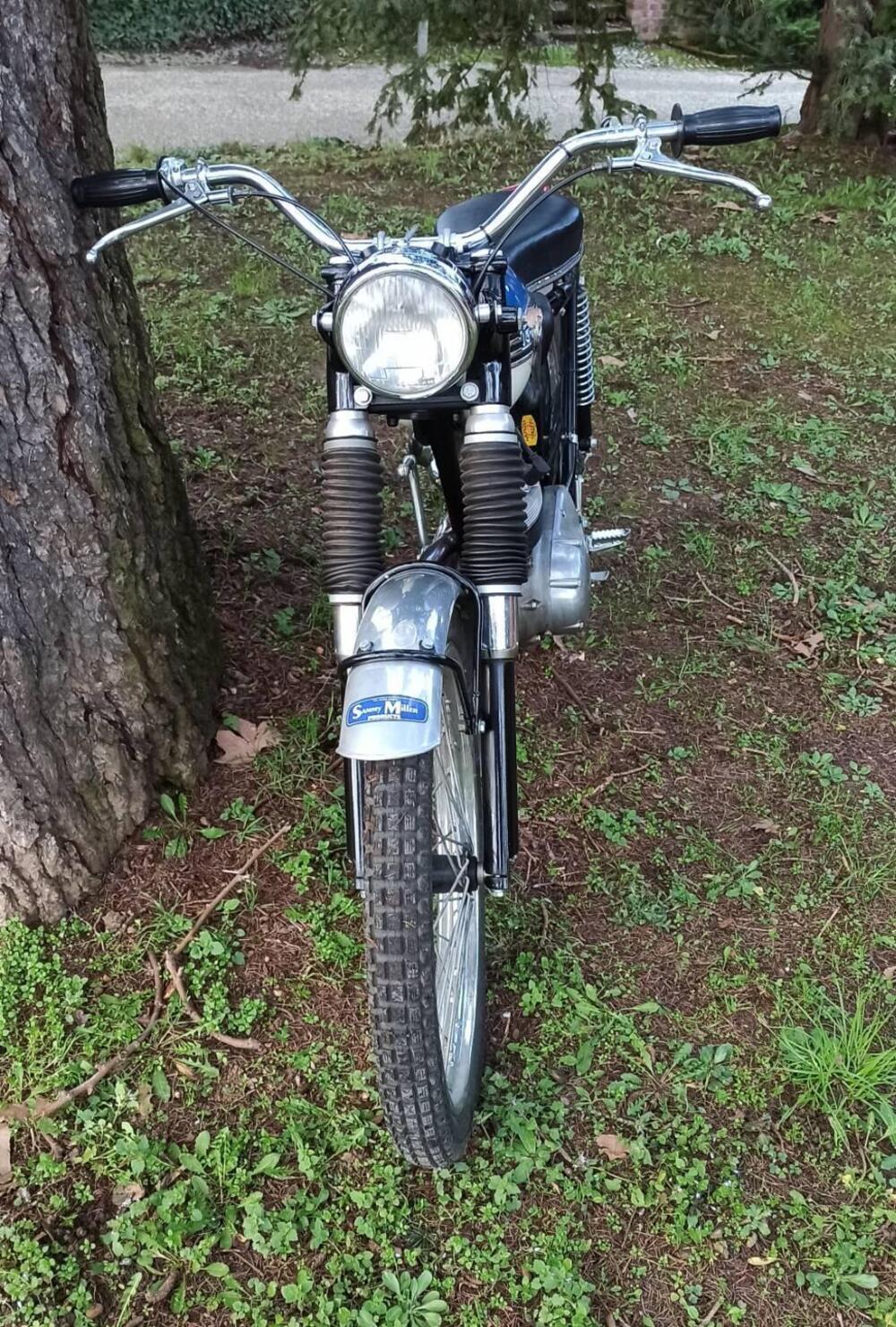 Triumph Tiger Cub 200 (6)