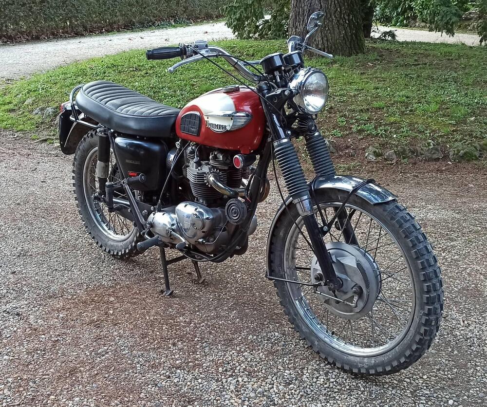 Triumph Bonneville (3)