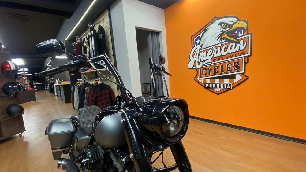 Harley-Davidson 1584 Road King Classic (2007 - 10) - FLHRC (4)