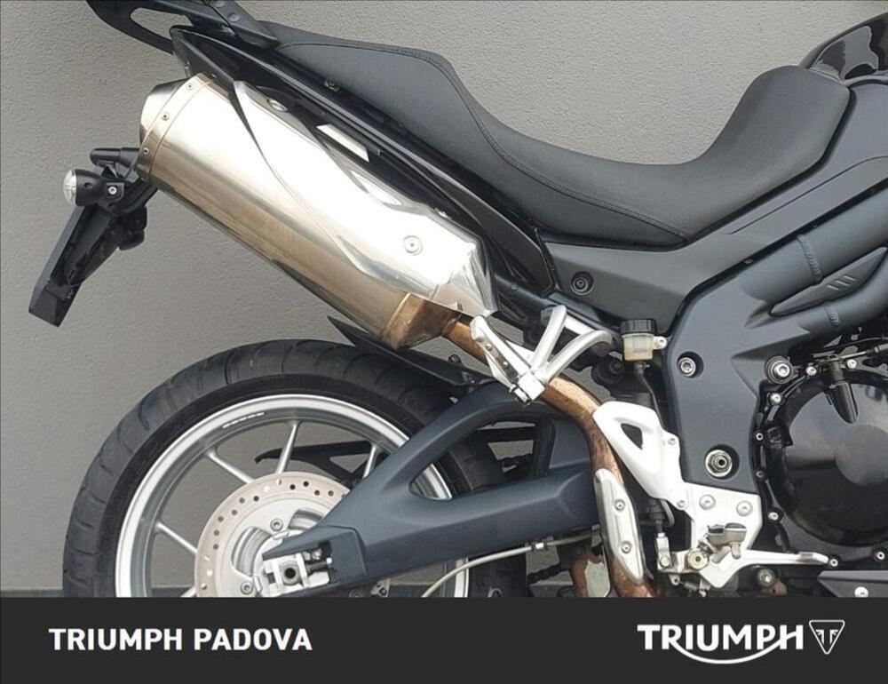 Triumph Tiger 1050 (2006 - 12) (2)
