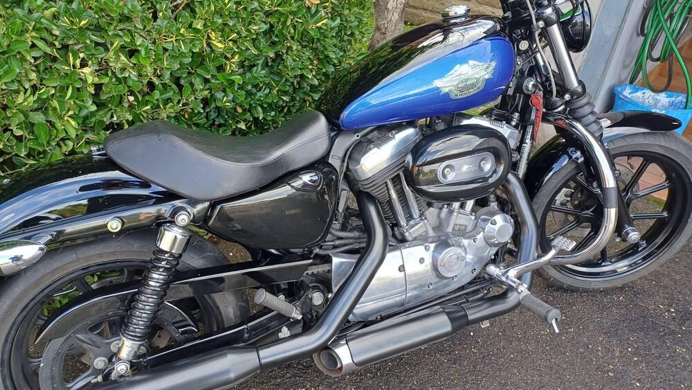 Harley-Davidson 883 Low (2008 - 12) - XL 883L (6)