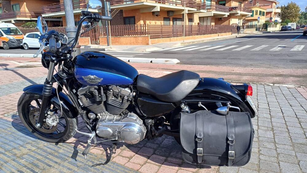 Harley-Davidson 883 Low (2008 - 12) - XL 883L (9)