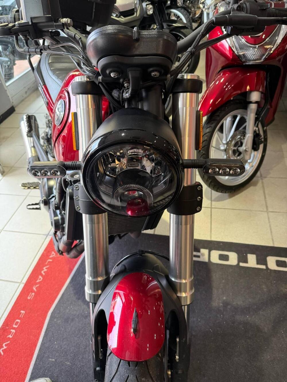 Benelli Leoncino 500 (2021 - 25) (3)