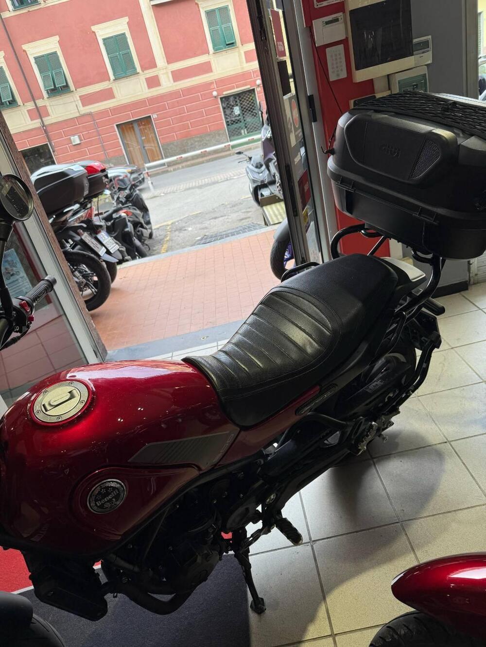 Benelli Leoncino 500 (2021 - 25) (5)