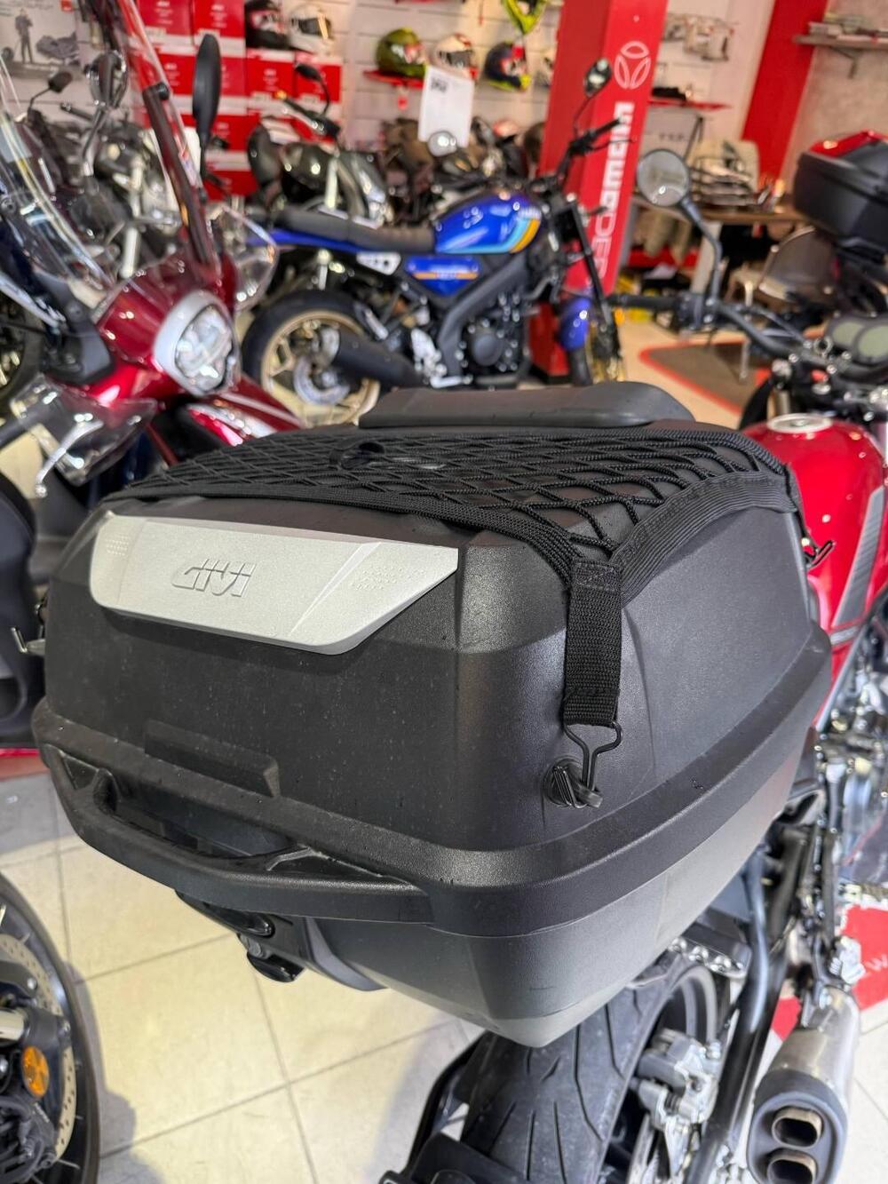 Benelli Leoncino 500 (2021 - 25) (6)