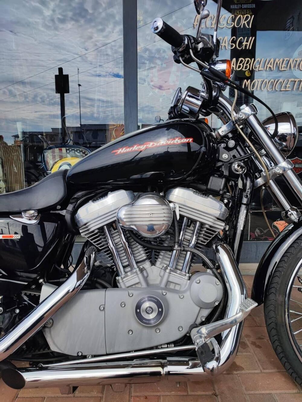 Harley-Davidson 883 Custom (2001 - 05) - XL 53C (2)