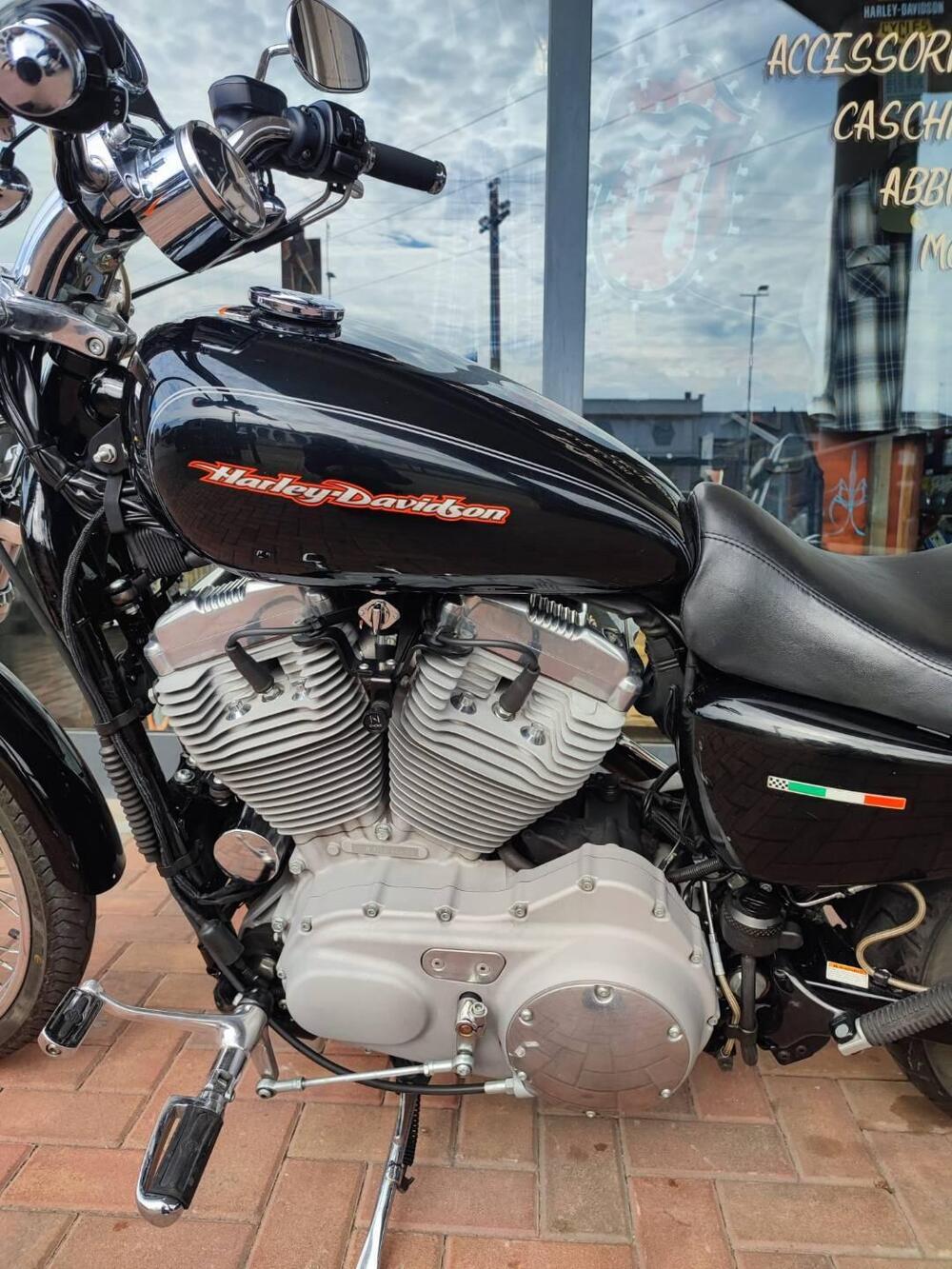 Harley-Davidson 883 Custom (2001 - 05) - XL 53C (5)