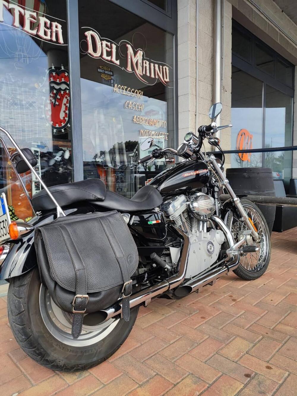 Harley-Davidson 883 Custom (2001 - 05) - XL 53C (7)