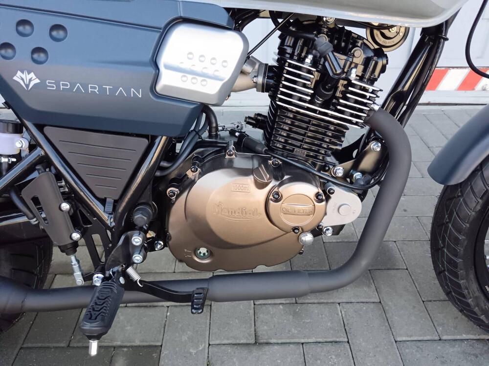 FB Mondial Spartan 125 (2023 - 24) (7)