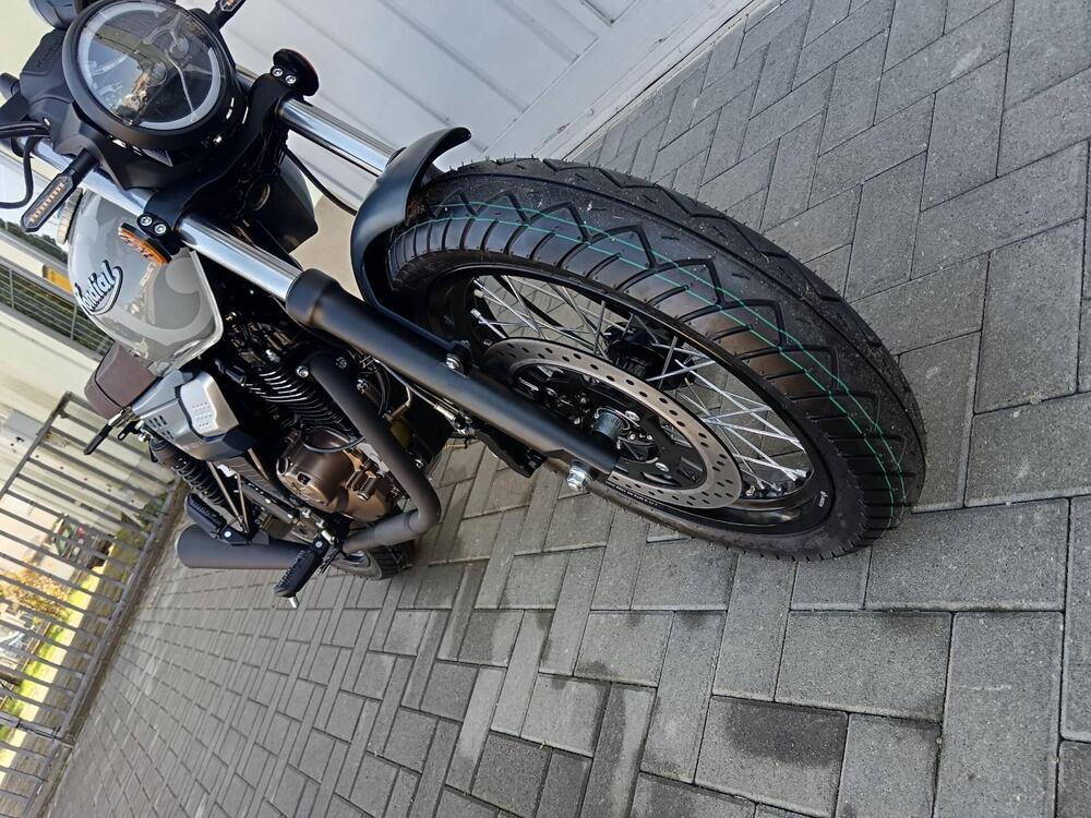 FB Mondial Spartan 125 (2023 - 24) (13)