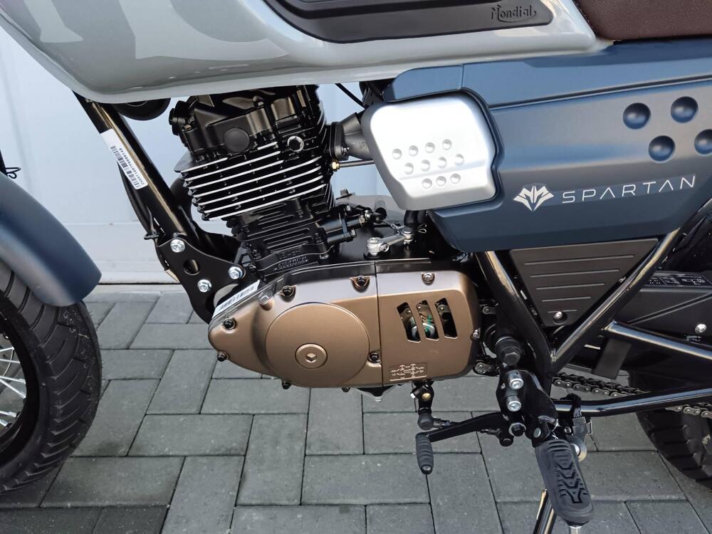 FB Mondial Spartan 125 (2023 - 24) (8)