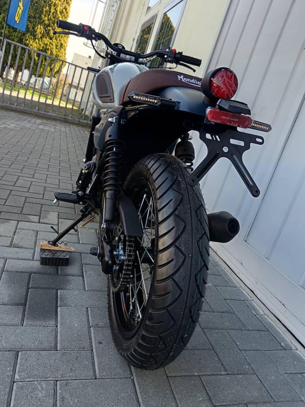 FB Mondial Spartan 125 (2023 - 24) (16)