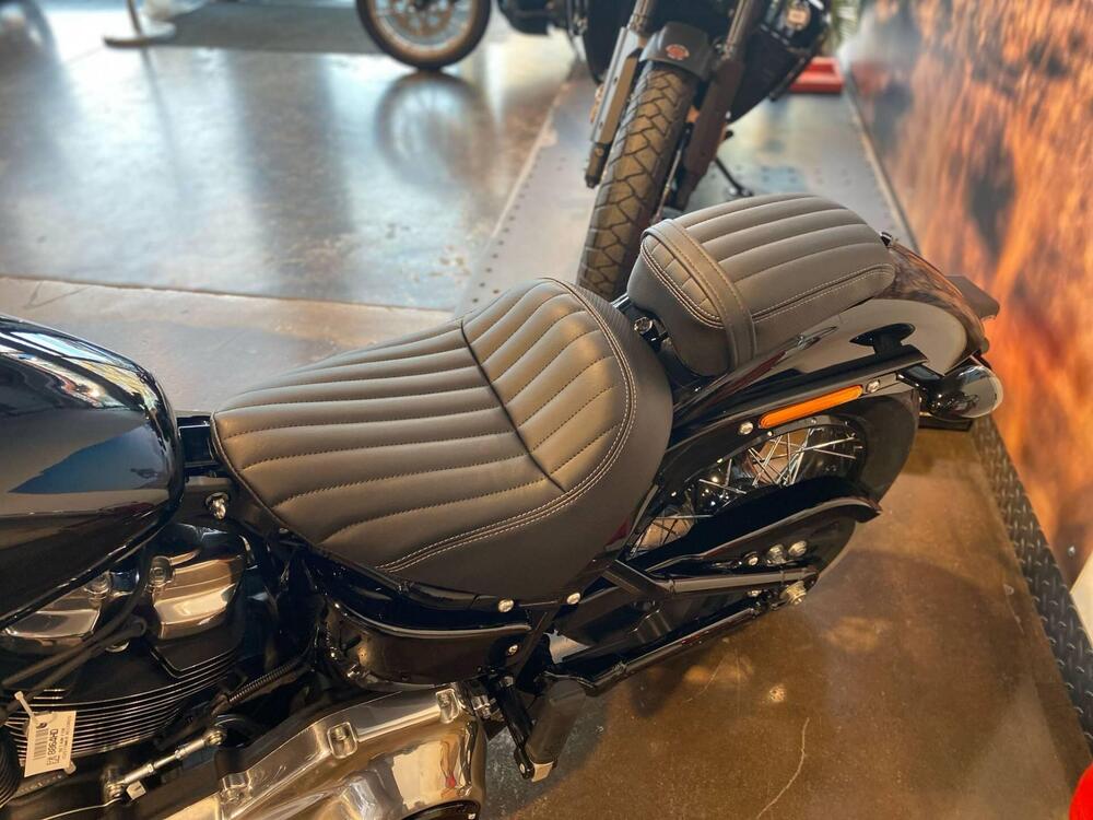 Harley-Davidson Street Bob 117 (2025) (6)