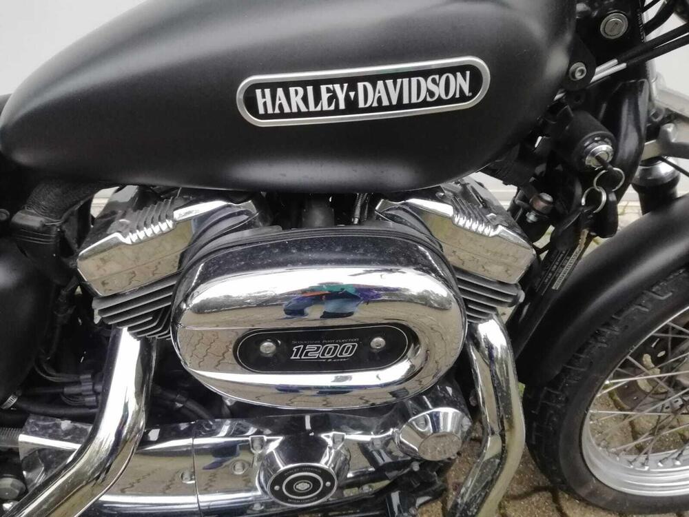Harley-Davidson 1200 Low (2008 - 09) - XL 1200L (8)