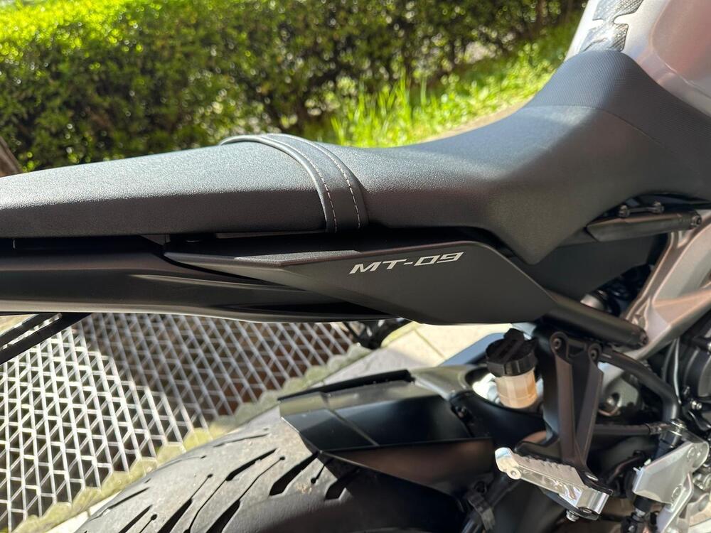 Yamaha MT-09 (2013 - 15) (10)