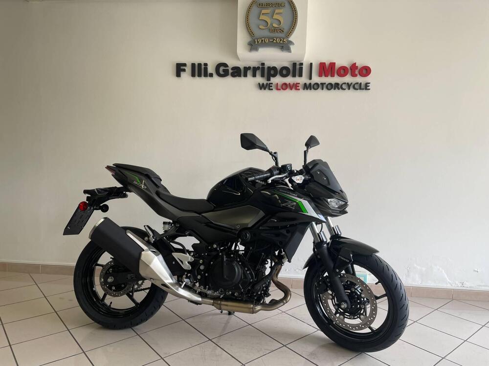 Kawasaki Z 500 (2024 - 26) (2)