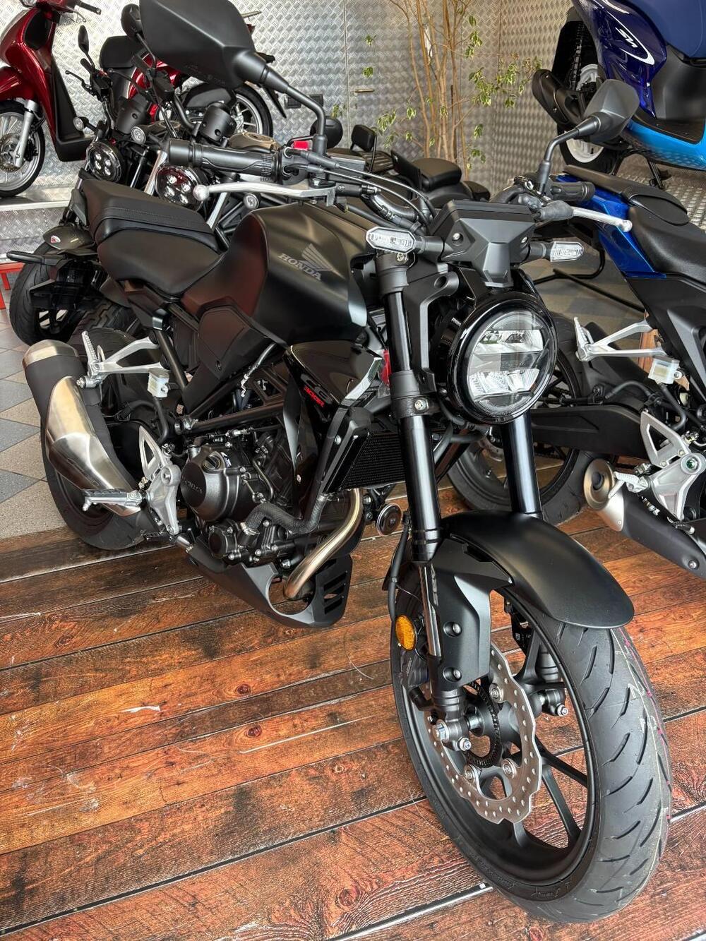 Honda CB 300 R (2022 - 25)