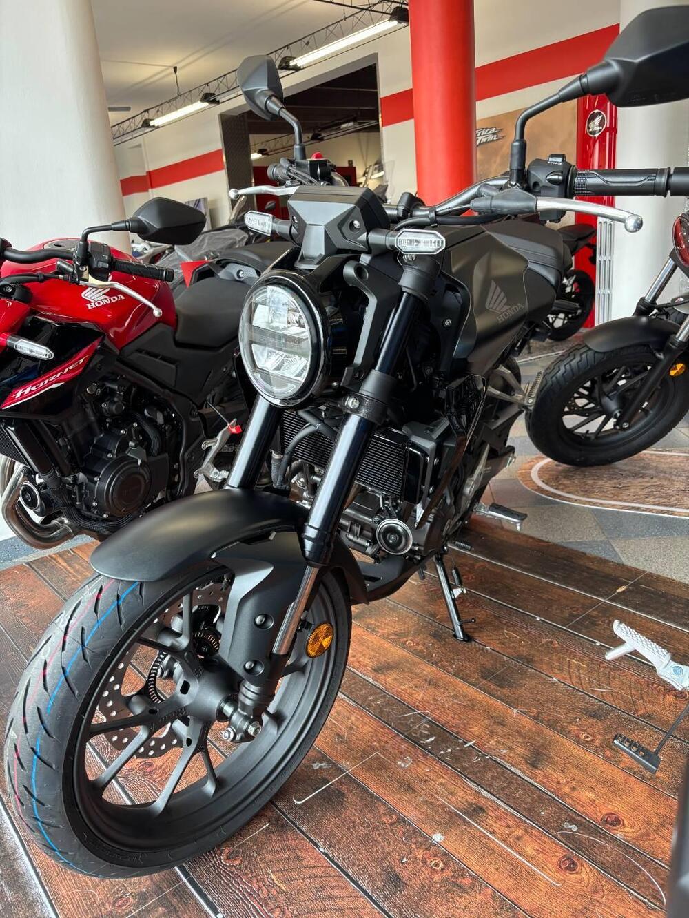 Honda CB 300 R (2022 - 25) (4)