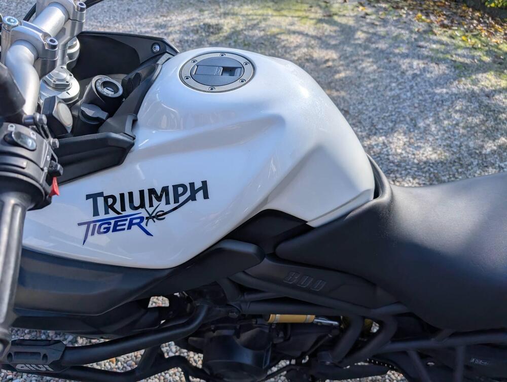 Triumph Tiger 800 XC ABS (2010 - 14) (11)