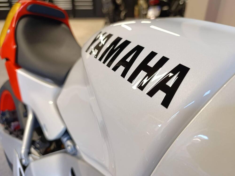 Yamaha XSR 900 GP (2024 - 26) (4)