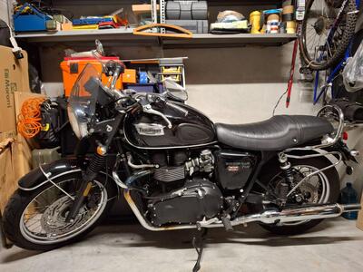 Triumph Bonneville T100 (2008 - 16) usata