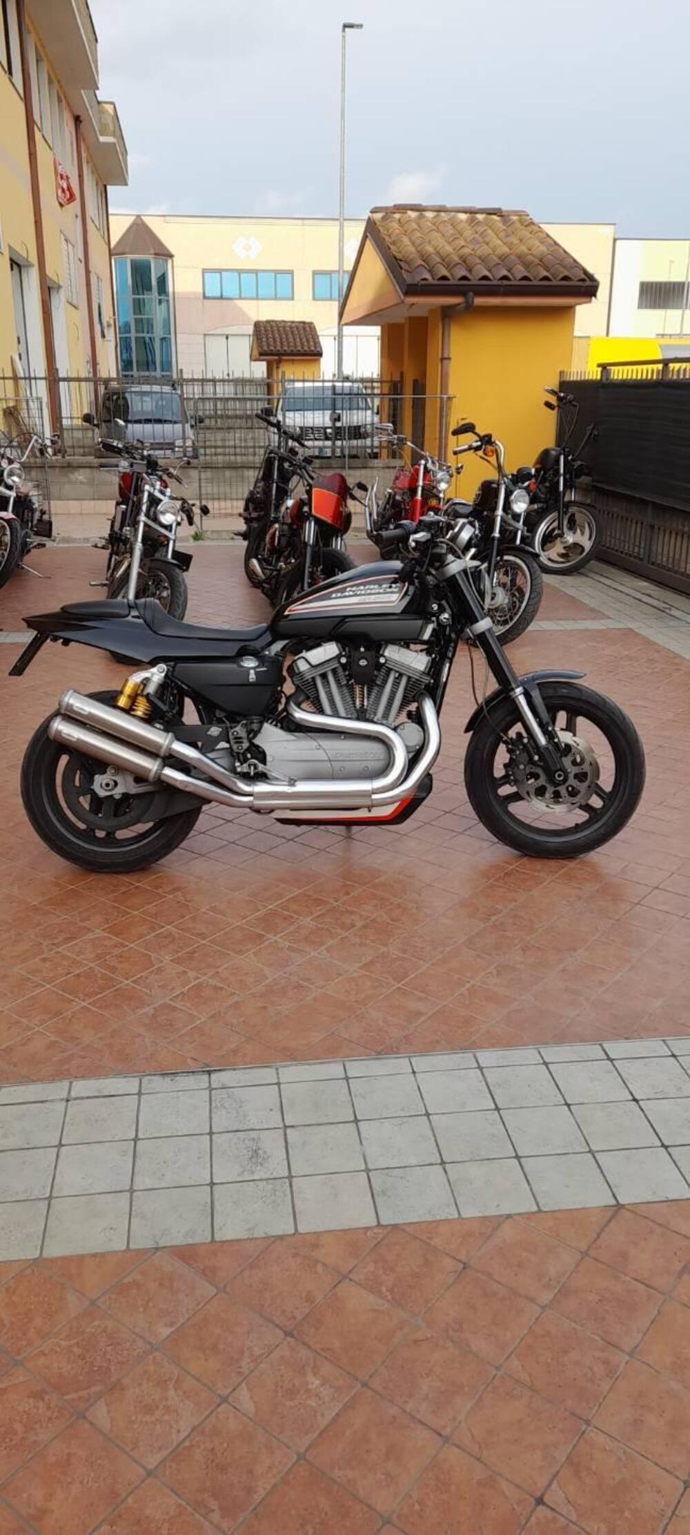 Harley-Davidson 1200 XR (2009 - 12) (3)