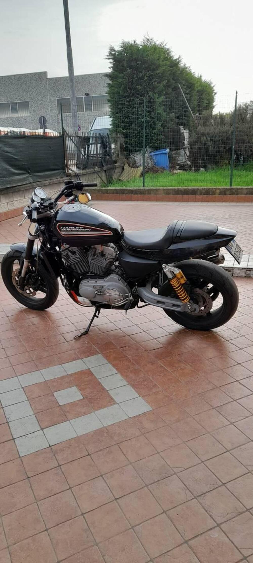 Harley-Davidson 1200 XR (2009 - 12) (6)