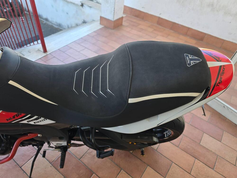 Triumph Tiger 1050 (2006 - 12) (10)