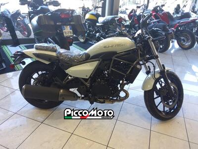 Kawasaki Eliminator 500 (2024 - 26) nuova