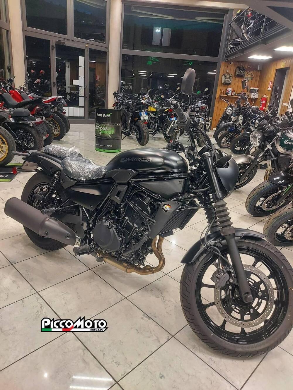 Kawasaki Eliminator 500 SE (2024 - 26) (3)