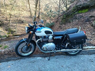 Triumph Bonneville T100 (2017 - 20) usata