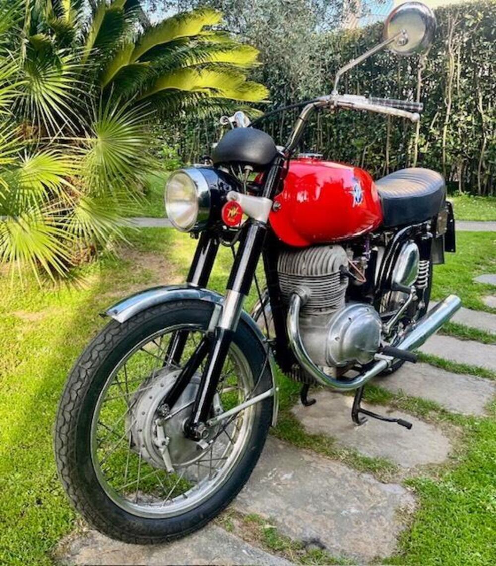 MV Agusta 350 Gt (3)