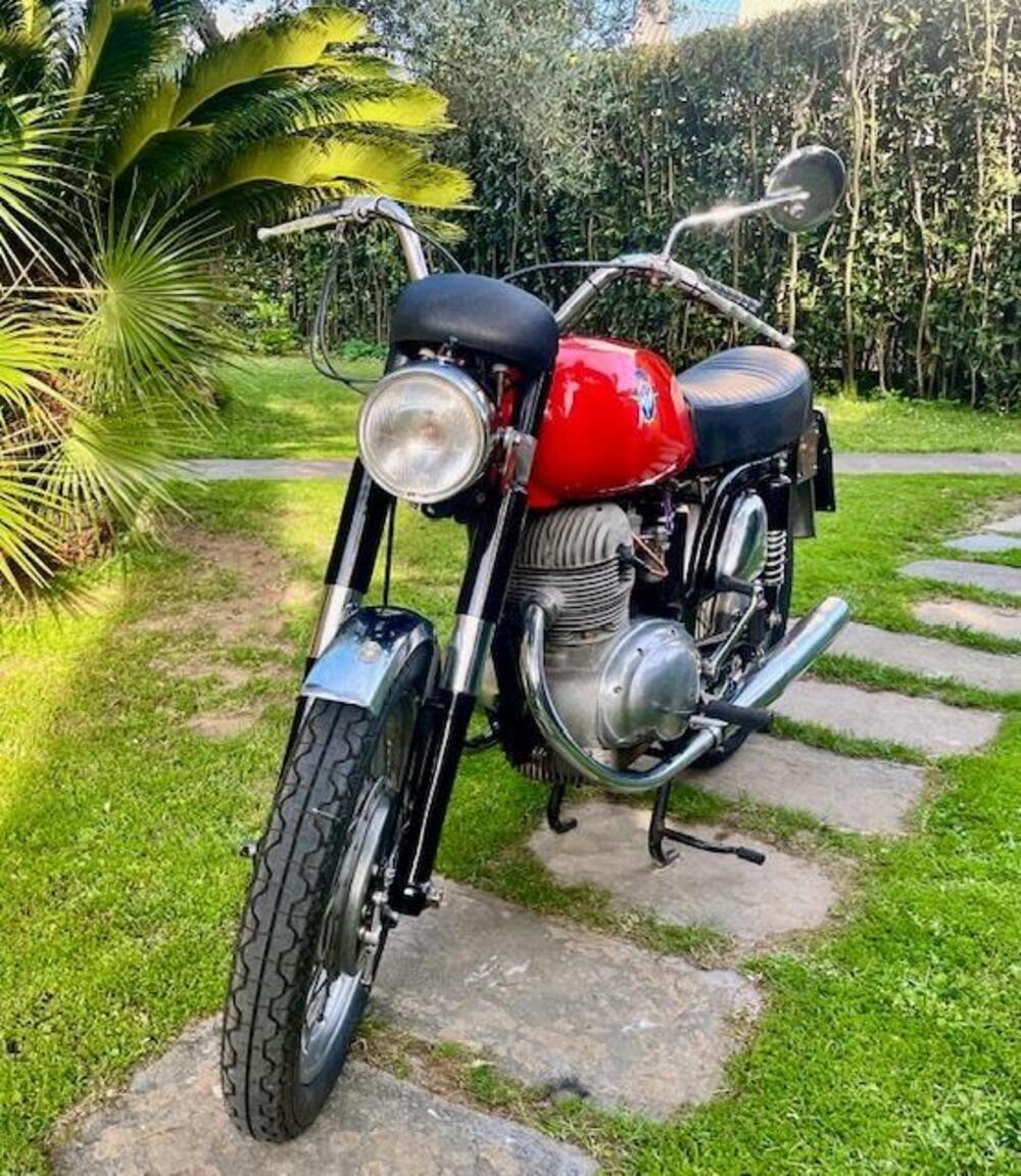 MV Agusta 350 Gt (4)