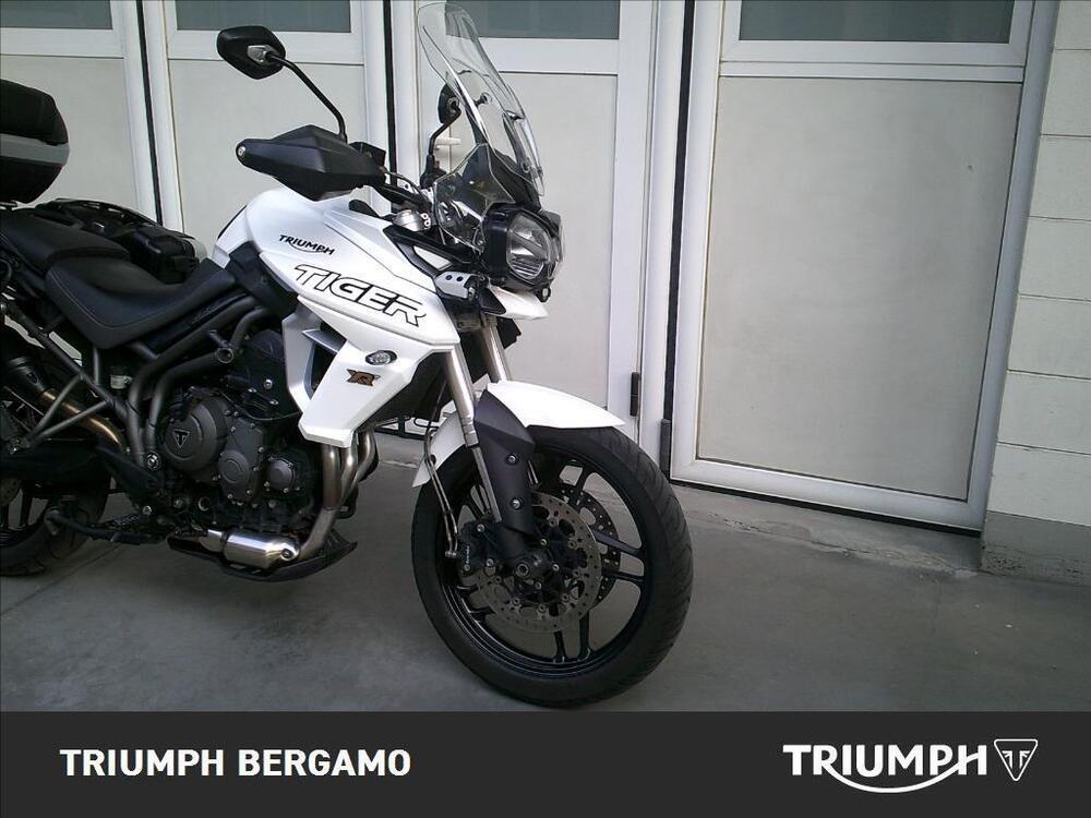 Triumph Tiger 800 XRt (2018 - 20) (8)