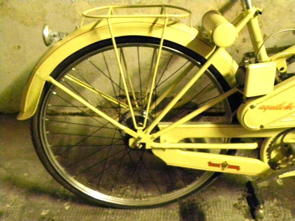 Bianchi Aquilotto (8)