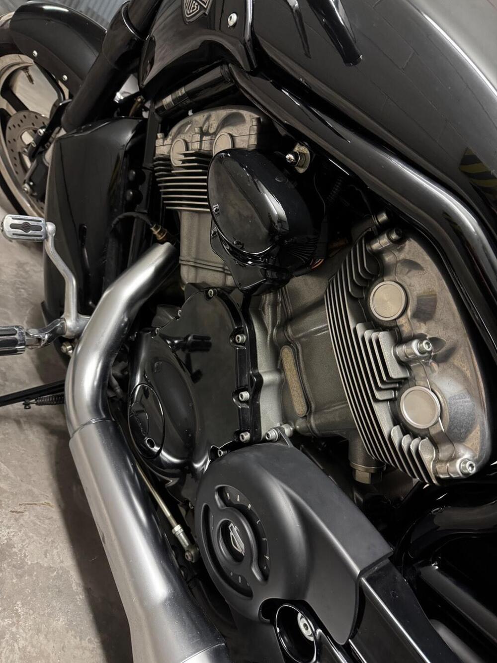 Harley-Davidson 1250 V-Rod Muscle (2009 - 17) - VRSCF (3)