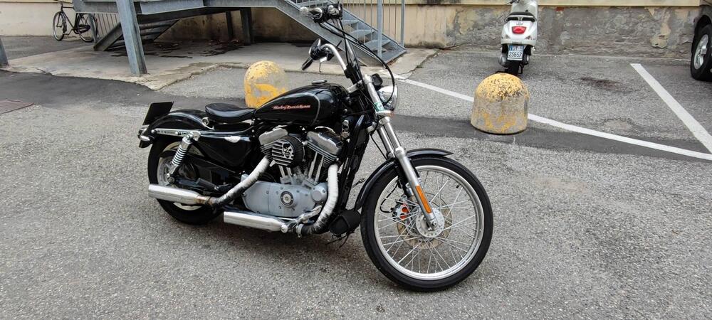 Harley-Davidson 883 Custom (2006 - 07) - XL 883C