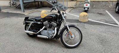 Harley-Davidson 883 Custom (2006 - 07) - XL 883C usata