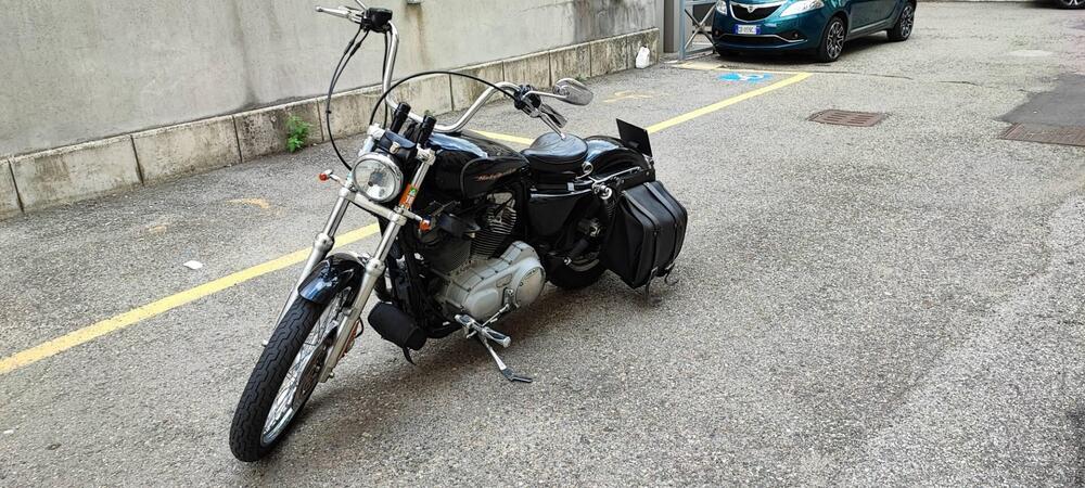 Harley-Davidson 883 Custom (2006 - 07) - XL 883C (2)