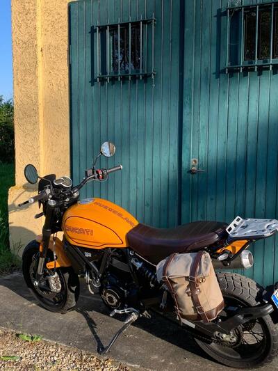 Ducati Scrambler 1100 Tribute Pro (2022 - 24) usata