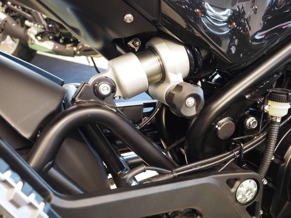 Benelli Leoncino 500 (2021 - 25) (5)