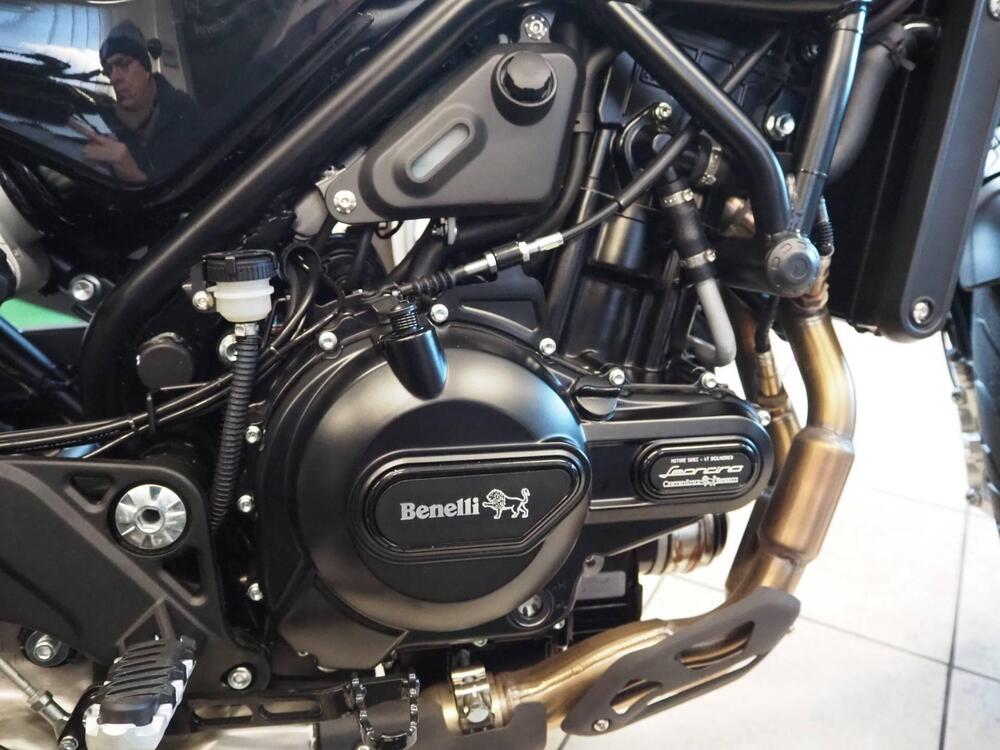 Benelli Leoncino 500 (2021 - 25) (6)